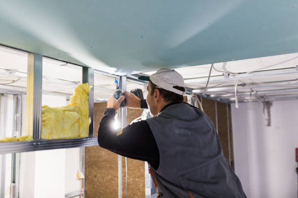 Best Commercial Insulation in Corsicana, TX