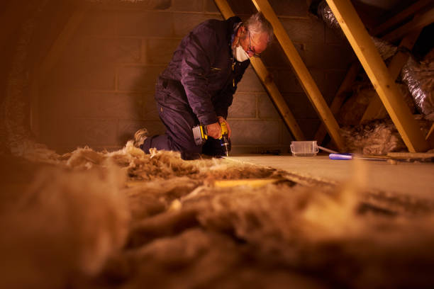 Best Insulation Maintenance and Repair in Corsicana, TX